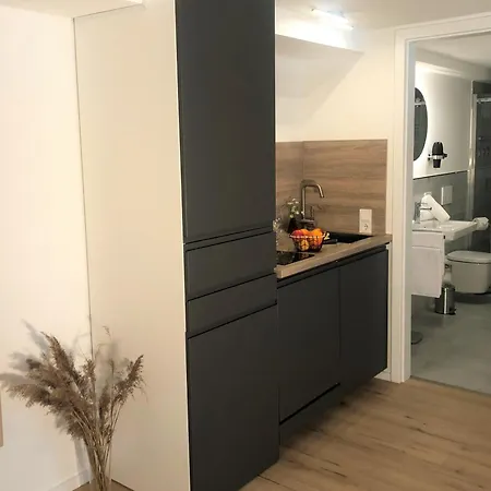 Stadtheimat29 Apartment *