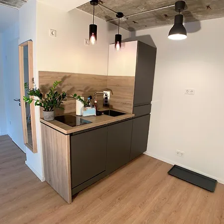 Stadtheimat29 شقة مونستر