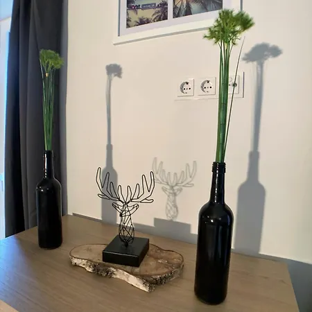 Appartement Stadtheimat29 *