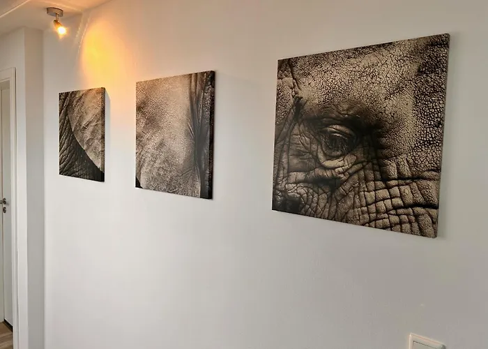 Appartement Stadtheimat29 Munster (North Rhine-Westphalia)