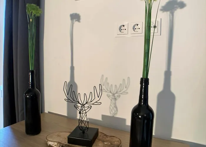 Apartment Stadtheimat29 *